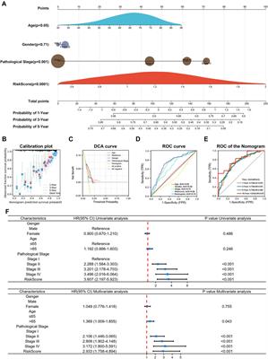 Immune Landscape and Classification in Lung Adenocarcinoma Based on a Novel Cell Cycle Checkpoints Related Signature for Predicting Prognosis and Therapeutic Response